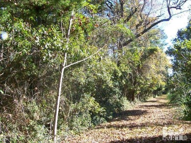 7312 Mason Landing Rd, Ogden, NC 28411 - photo 4