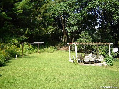Backyard.