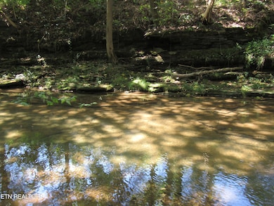 CLOSE UP OF CREEK