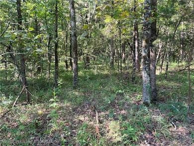 2021 Goats Bluff Rd, Wister, OK 74966 - photo 2