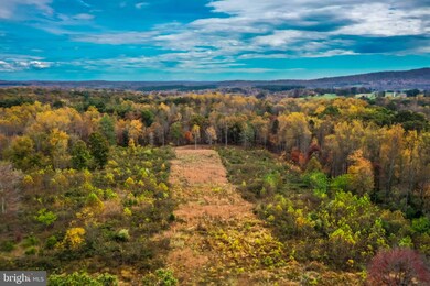 0 Whorton Hollow Rd, Castleton, VA 22716 - photo 4