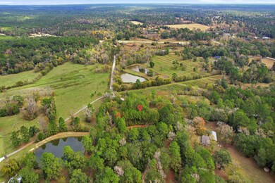 55 Dipping Vat Rd, New Waverly, TX 77358 - photo 6