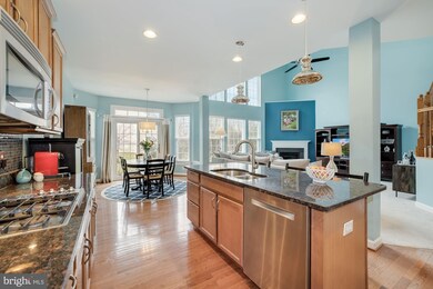 25020 White Sands Dr, Chantilly, VA 20152 - photo 6