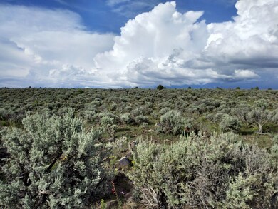 0 Palisades Ct N, San Luis, CO 81152 - photo 5