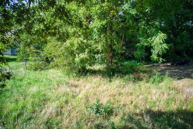 12_DJI_0030_sRGB_Shoreline_LoRes