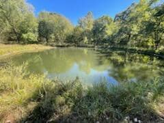 pond IMG_3778001
