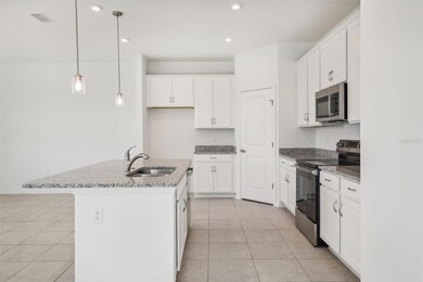 3531 Salvia Ct, Tavares, FL 32778 - photo 7