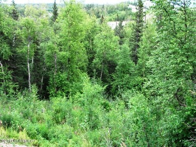 6531 E Upper Ct, Lakes, AK 99645 - photo 3