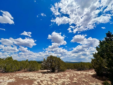 TBD County Rd, Concho, AZ 85924 - photo 7