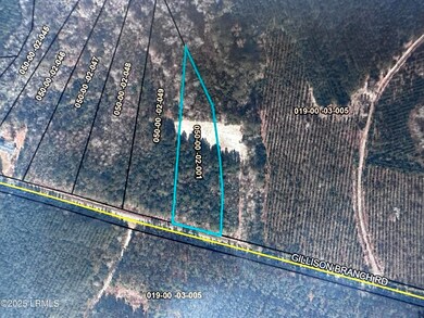 Tbd Gillison Branch Rd, Ridgeland, SC 29936 - photo 3