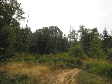 0 SW Laurelwood Rd, Gaston, OR 97119 - photo 4