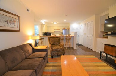 109 Okemo Ridge Rd unit C102, Ludlow, VT 05149 - photo 7