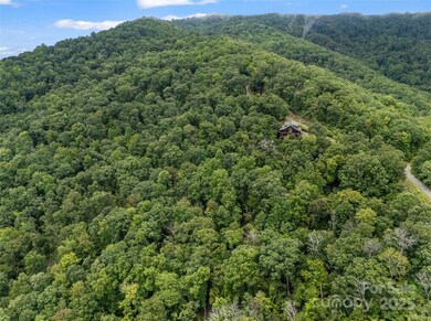 0 Peartree Dr unit 526 CAR4293152, Lake Lure, NC 28746 - photo 4