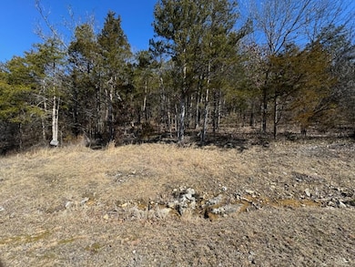 56 Ranch Rd, Saddlebrooke, MO 65630 - photo 5