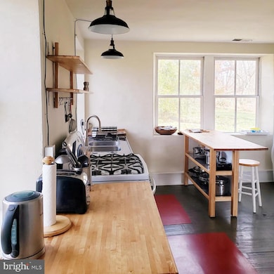 1651 Blue Ridge Farm Rd, Upperville, VA 20184 - photo 6