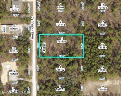 Marsh Quail Rd 1