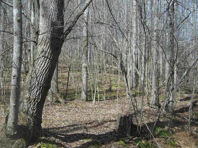 00 Lewis Rd, Oxford, NC 27565 - photo 5