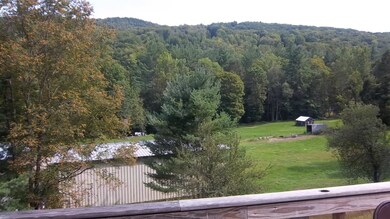 79 E Hawley Rd, Hawley, MA 01339 - photo 5