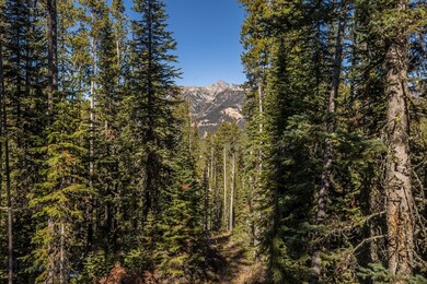 View of Wilson Peak