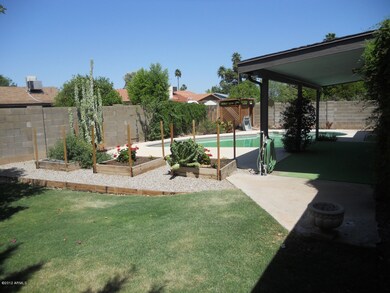 Beautiful back yard with covered patio