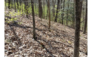 M99 Sleepy Hollow Rd, Ellijay, GA 30536 - photo 5