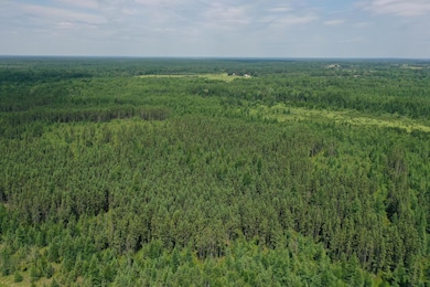 TBD Arkola Rd E, Kelsey, MN 55724 - photo 3