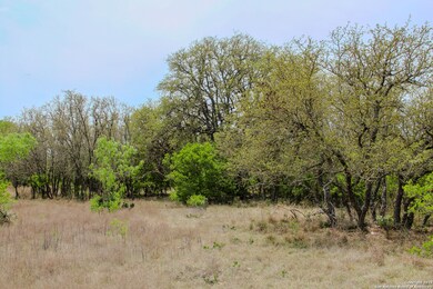 TBD Cr 341, Hondo, TX 78861 - photo 3