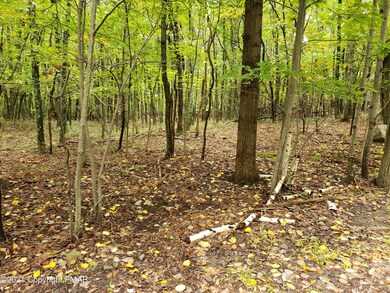 82 Wilson Ct, Saylorsburg, PA 18353 - photo 5