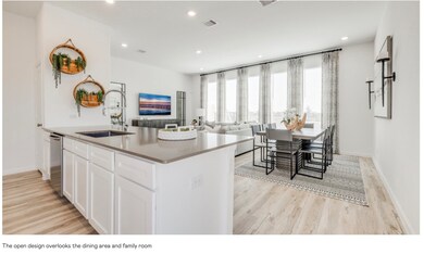 2218 Via Isa Ln, Houston, TX 77051 - photo 4