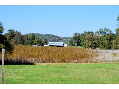 485 S Water Fork Rd, Greeneville, TN 37743 - photo 5