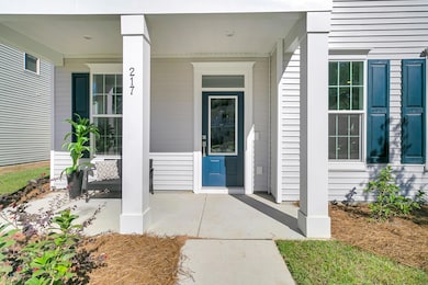 308 Brown Cow Way, Summerville, SC 29483 - photo 2