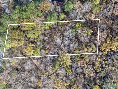 3 Acres Ashley Dr, Grant, AL 35747 - photo 5