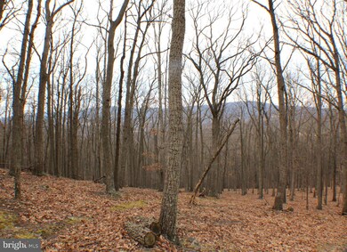 25 Cove Creek, Capon, WV 26801 - photo 2