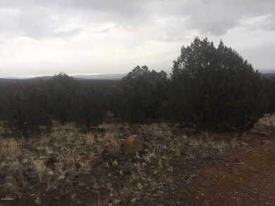 ... Camp Rd unit 231/C, Ash Fork, AZ 86320 - photo 2