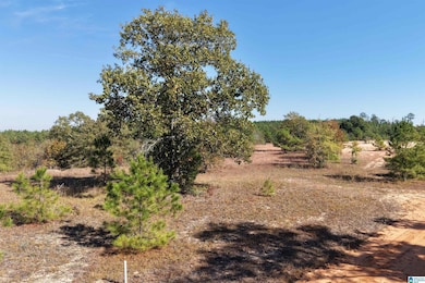 0 County Road 101, Plantersville, AL 36758 - photo 2