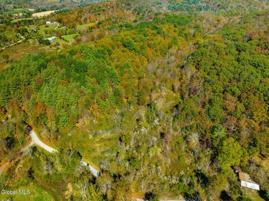 L8 Parqui Ln, Salem, NY 12865 - photo 2