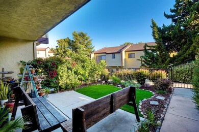 7319 Alicante Rd, Carlsbad, CA 92009 - photo 3