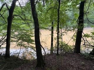 6185 Masters Club Dr, Suwanee, GA 30024 - photo 4