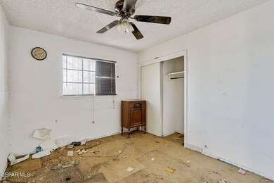 32-web-or-mls-IMG_0114