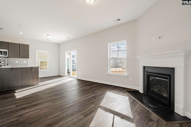 260 Brando Way, Columbia, SC 29223 - photo 6