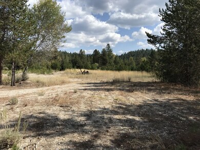 Level For Easy Camping or Building