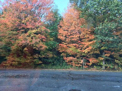 queens trees