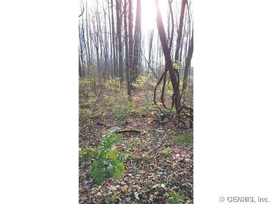 Land/Lot
