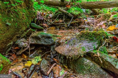 LOT 26 Fox Paw Leaf Ln, Ellijay, GA 30536 - photo 3