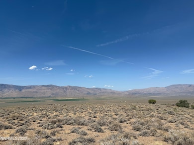 APN 092317000016, Gardnerville, NV 89410 - photo 3