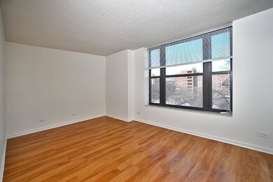 1715 Chicago Ave unit 302S, Evanston, IL 60201 - photo 5
