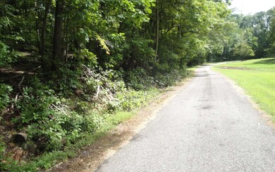 Additional View