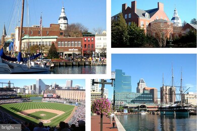 7804 Shellbourne Rd, Carvel Beach, MD 21226 - photo 2