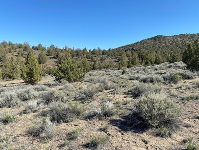 0 SW Pinnacle Ct unit Homesite 700, Powell Butte, OR 97753 - photo 5