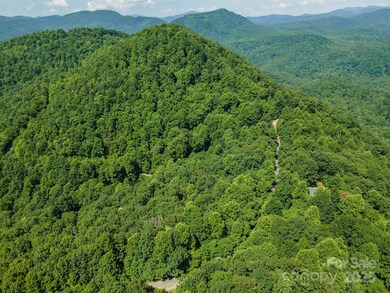 99999 Gateway Pkwy unit 761, Old Fort, NC 28762 - photo 7